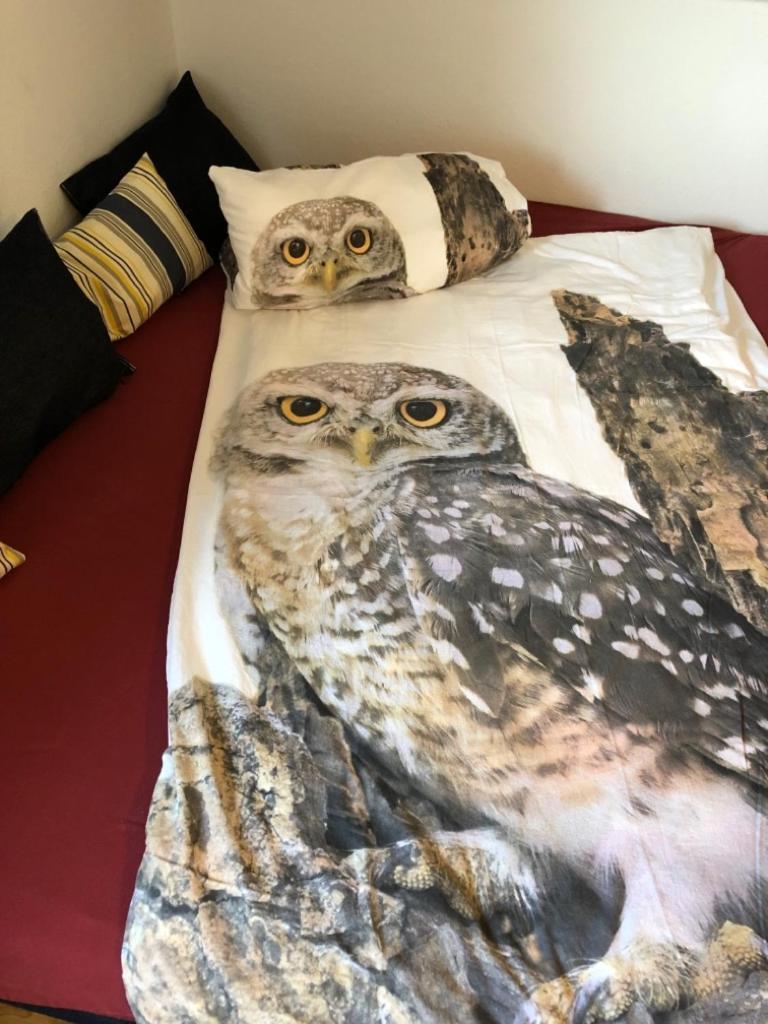 Ferienwohnung Eulennestle Lenzkirch Luaran gambar